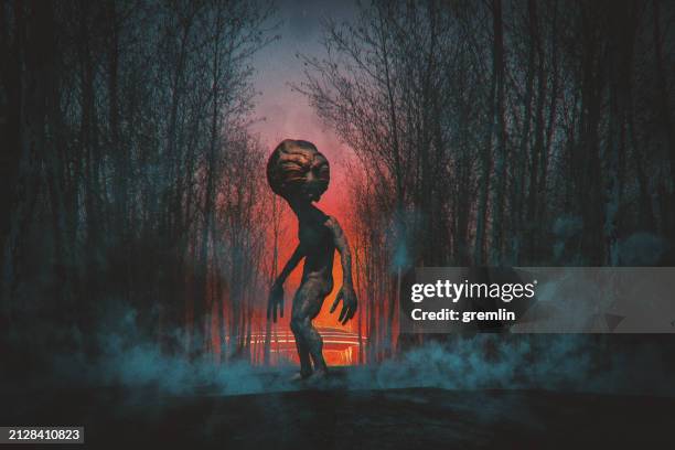 65 Ufo Crash Site Stock Photos, High-Res Pictures, and Images