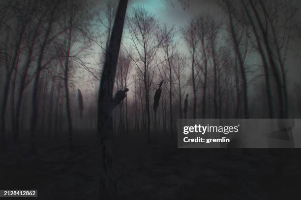 spooky ghost in the forest at night - dark forest night stock pictures, royalty-free photos & images