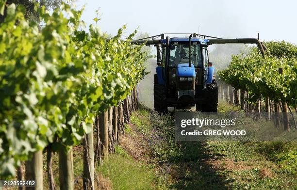 Chardonnay vines on a vineyard at Cowra in the central west of New South Wales are sprayed to prevent mildew, 13 November 2007. An industry expert...