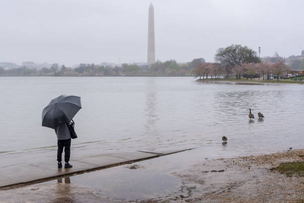 DC: Spring Rains Bring Flooding To The Tidal Basin In Washington, D.C.