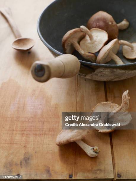 shiitake mushrooms - shiitake mushroom stock pictures, royalty-free photos & images