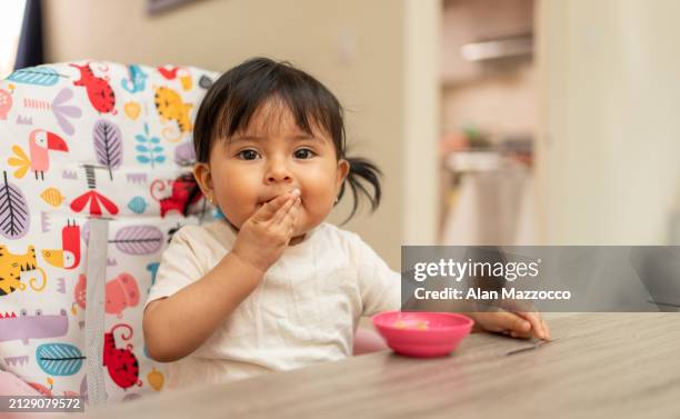 portrait of a Hispanic toddler girl eating on her baby chair, Latin kid looking at camera while feeding putting her hand in mouth