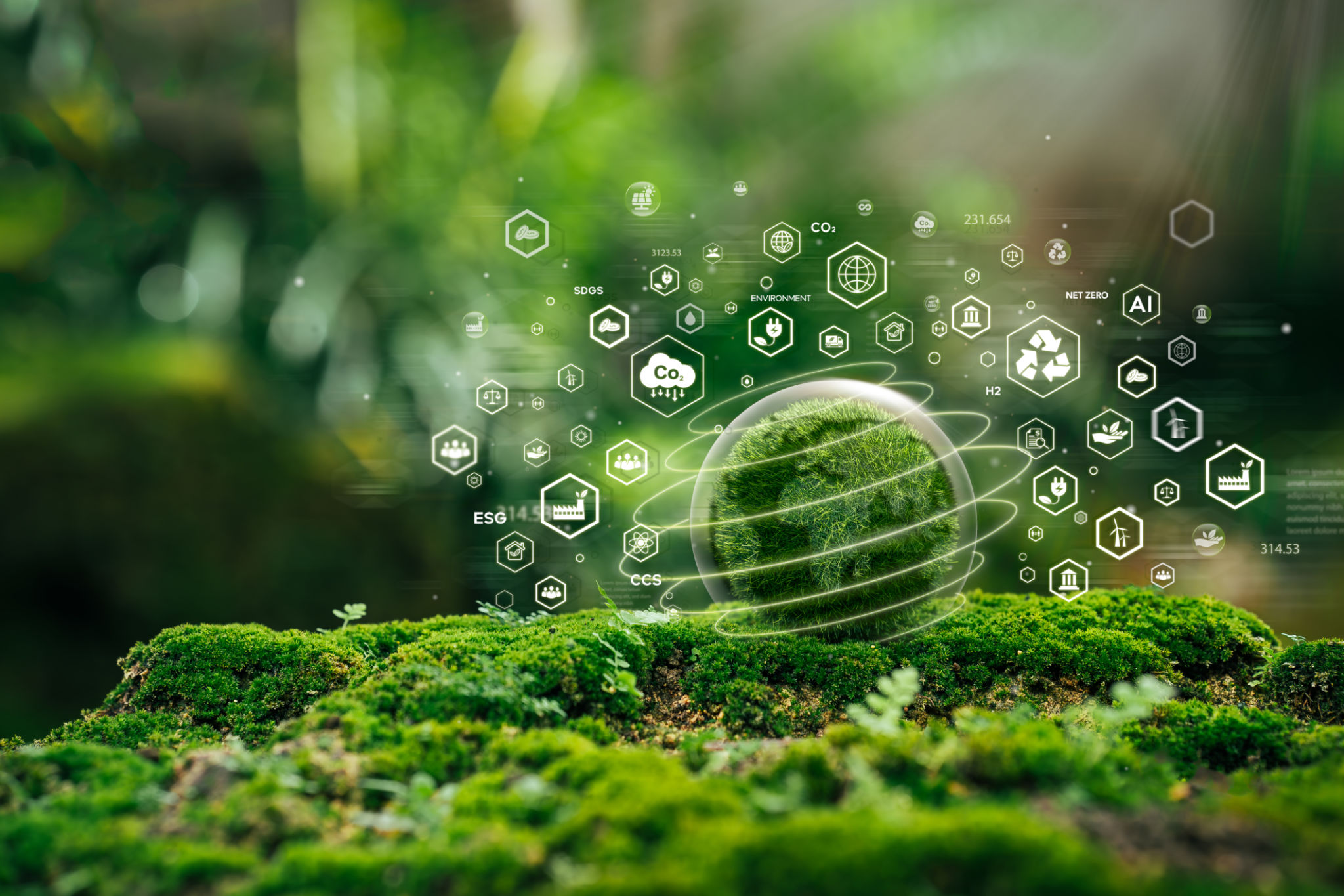 future sustainability