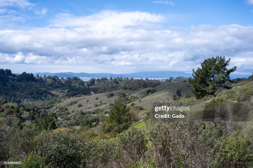 Berkeley hills and San Francisco Bay, March 22, 2024. News Photo ...