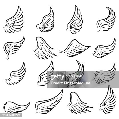 Wings vector set Wings vector set