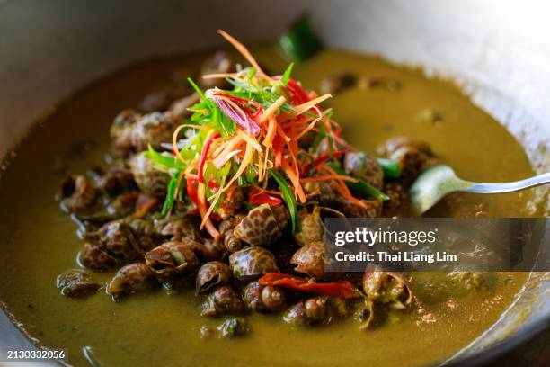 close-up of gastropod cooked with spices in curry sauces, traditional malaysian cuisine. - helix stock pictures, royalty-free photos & images
