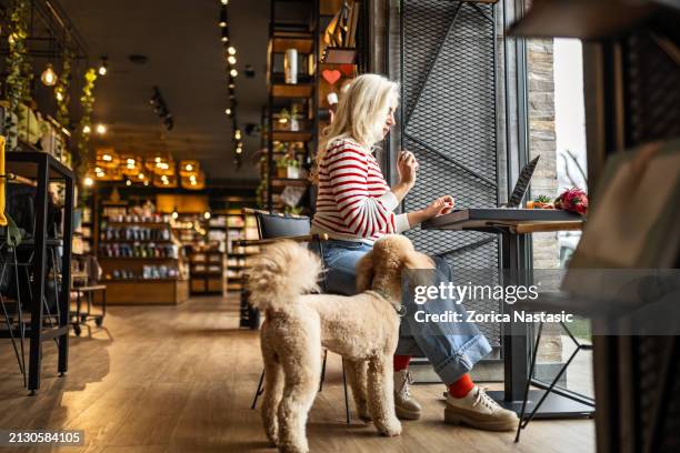 young woman balancing work and dog in cafe - book shop stock pictures, royalty-free photos & images
