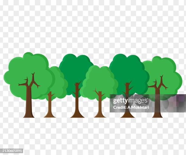 forest illustration on transparent. - national forest stock illustrations