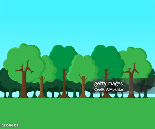 forest illustration. - national forest stock illustrations