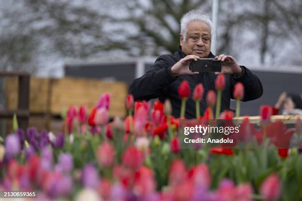 Tulleys Tulip Fest kicks off to celebrate the arrival of spring as people visit to see colorfields, a natural spectacle featuring over 500,000 tulips...