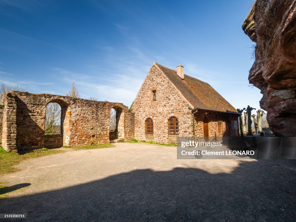 Wide angle view of the ruins of the open-air courtyard of the Haut-Barr Castle (Haut Barr) with the old fortified walls, a brownstone wall, trees and a reconstructed stone building (housing public toilets), Saverne - Bas-Rhin - Alsace - Eastern France.