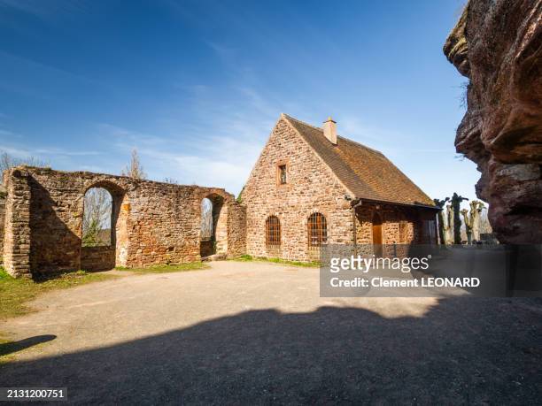 wide angle view of the ruins of the open-air courtyard of the haut-barr castle (haut barr) with the old fortified walls, a brownstone wall, trees and a reconstructed stone building (housing public toilets), saverne - bas-rhin - alsace - eastern france. - circa 14th century stock pictures, royalty-free photos & images