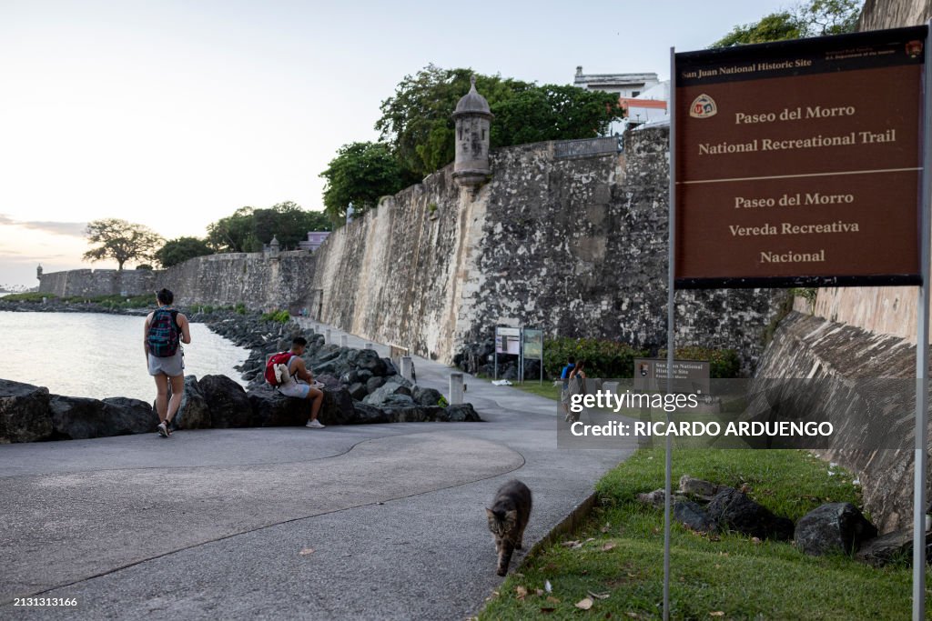 PUERTORICO-ANIMAL-CATS