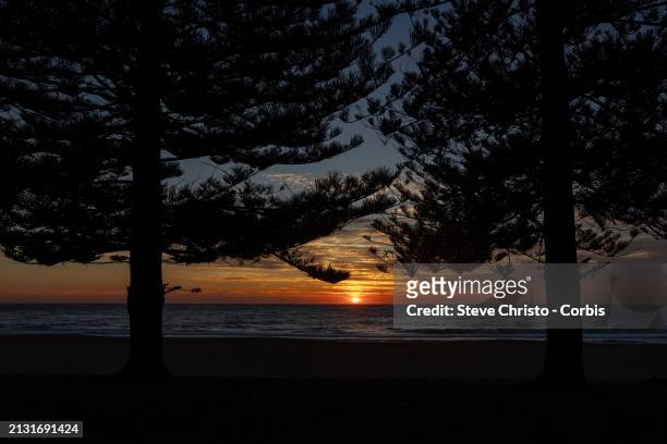 The sun rises over Whale Beach at Sydney's Northern Beaches , on March 28 in Sydney, Australia