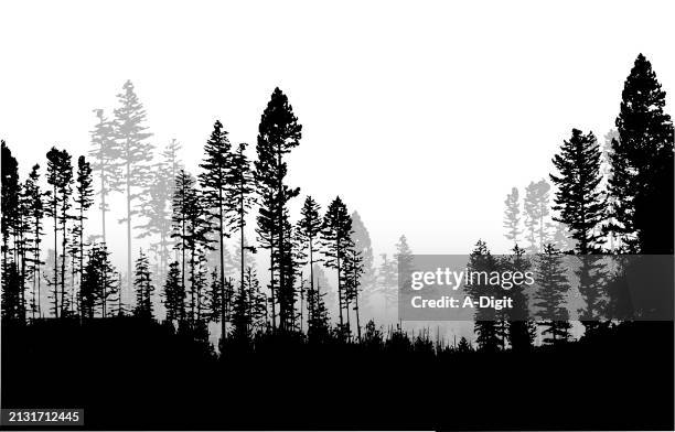 stockillustraties, clipart, cartoons en iconen met forest telemark canada in silhouettes - kleine boom