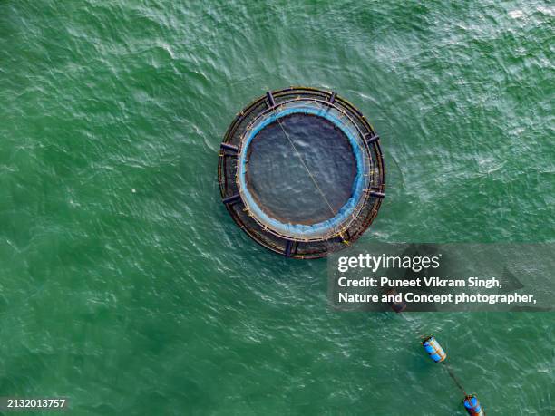 a floating fish cage containing fish seedlings in the middle of the sea for pisciculture - singh stock pictures, royalty-free photos & images