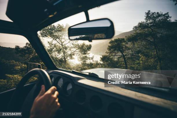 a man is driving a car along a forest road. - car interior stock pictures, royalty-free photos & images