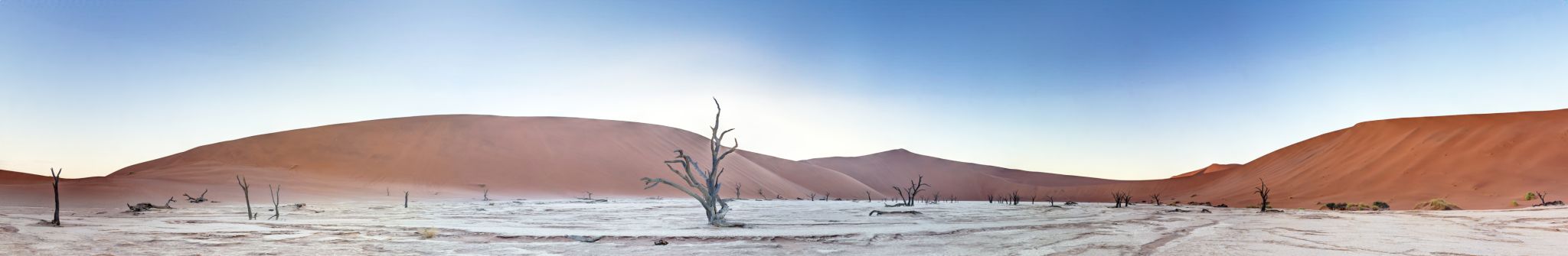 Panoramic picture of the Deadvlei salt pan in the Namib Desert with dead trees in front of red sand dunes in the morning light Panoramic picture of the Deadvlei salt pan in the Namib Desert with dead trees in front of red sand dunes in the morning light