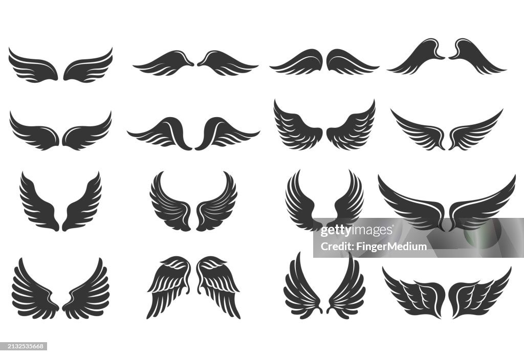 Wings vector illustration