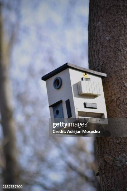 a harmonious haven nestled amongst nature: witness the artful blend of urban living and rustic charm, captured in a single snapshot of a birdhouse that resembles an elegant, miniature home. - gothenburg winter stock pictures, royalty-free photos & images