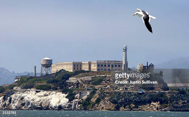 Seagull flies over Alcatraz Federal Penitentiary on Alcatraz Island July 2, 2003 in the San Francisco Bay, California. The park service, which...