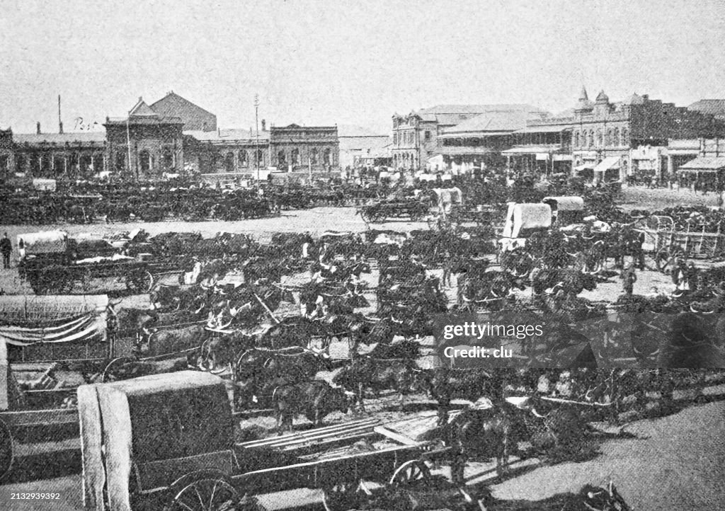 Johannesburg market square
