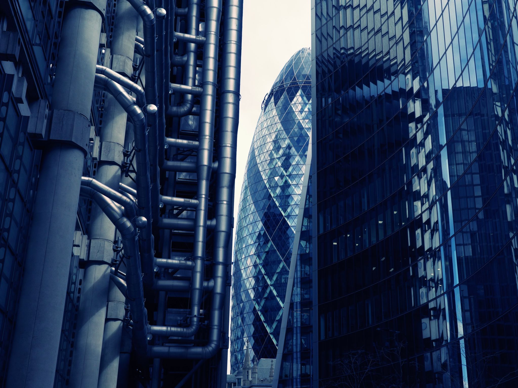 Lurking Gherkin Lurking Gherkin