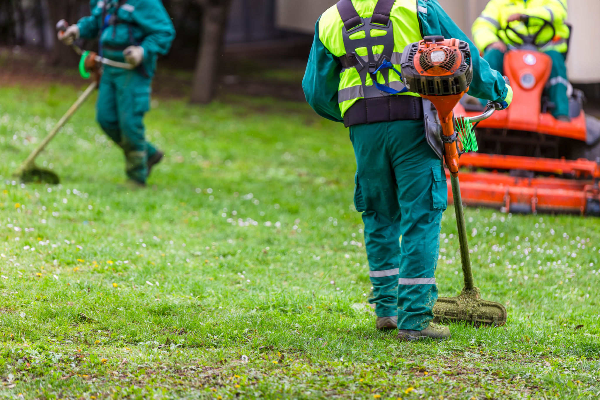 lawn care service