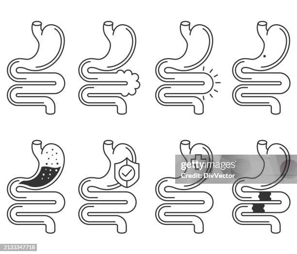 ilustraciones, imágenes clip art, dibujos animados e iconos de stock de ilustración vectorial del estómago humano y del sistema gastrointestinal - sistema-digestivo-humano