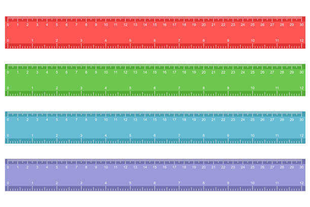 Fooey Ruler 146 Plastic Ruler High Res Illustrations - Getty Images