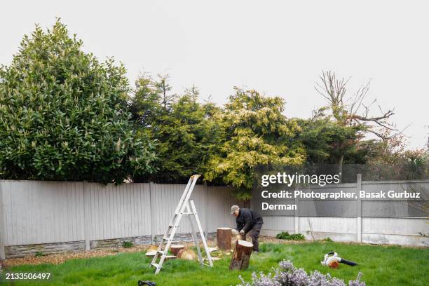 man sawing a tree with a chainsaw - tree stump stock pictures, royalty-free photos & images