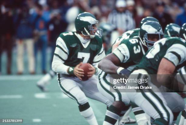 Philadelphia Eagles quarterback Ron Jaworski drops back to pass during a regular season game against the New York Giants on November 22, 1981 at...