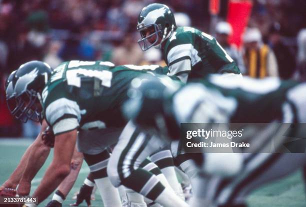 Philadelphia Eagles quarterback Ron Jaworski calls out a play from behind center during a regular season game against the New York Giants on November...