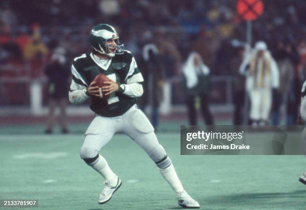 Philadelphia Eagles quarterback Ron Jaworski looks to pass downfield during a wildcard playoff game against the New York Giants on December 27, 1981...