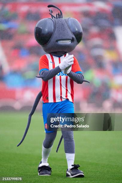 Mascot of Girona FC 'La Sisa' ahead the LaLiga EA Sports match between Girona FC and Real Betis at Montilivi Stadium on March 31, 2024 in Girona,...