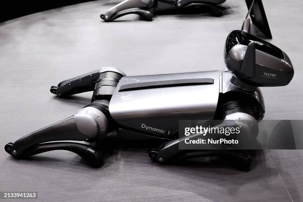 Tecno Mobile is exhibiting its first robotic dog, inspired by the German Shepherd and named the Tecno Dynamic 1, at the Mobile World Congress 2024 in...