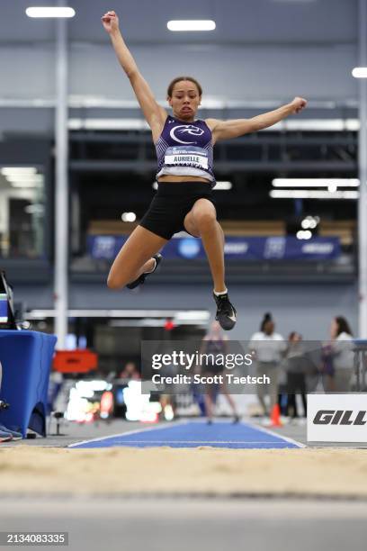 Aurielle Brunner of the Chatham Cougars competes in long jump during the Division III Mens and Women's Indoor Track and Field Championship held at...