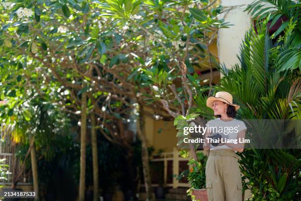 a solo asian woman traveler, wearing a straw hat, takes photos with her camera while exploring georgetown, penang. - penang state stock pictures, royalty-free photos & images
