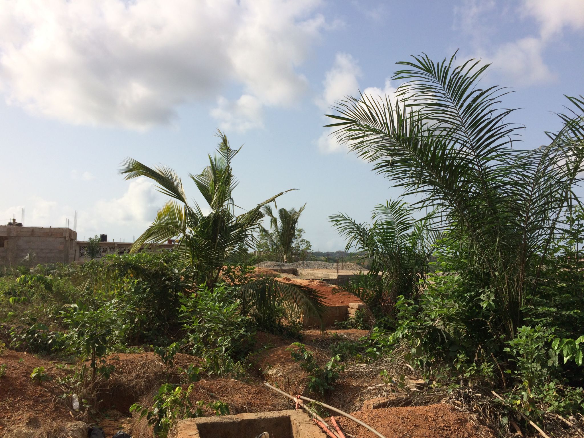 eco-friendly construction Ghana