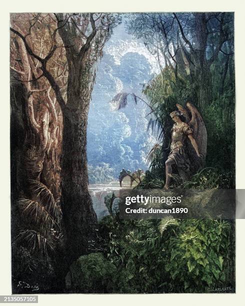 224 Forest Doré Stock Photos, High-Res Pictures, and Images