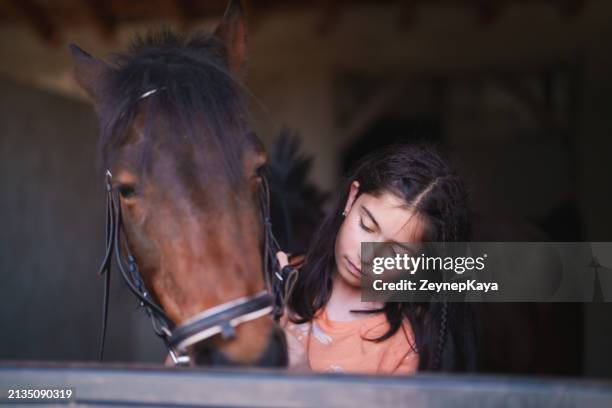 girl tying horse reins. - stirrup stock pictures, royalty-free photos & images