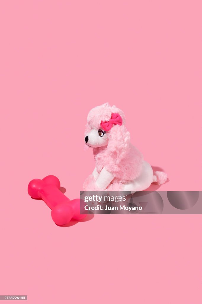 Pink bone and stuffed poodle dog