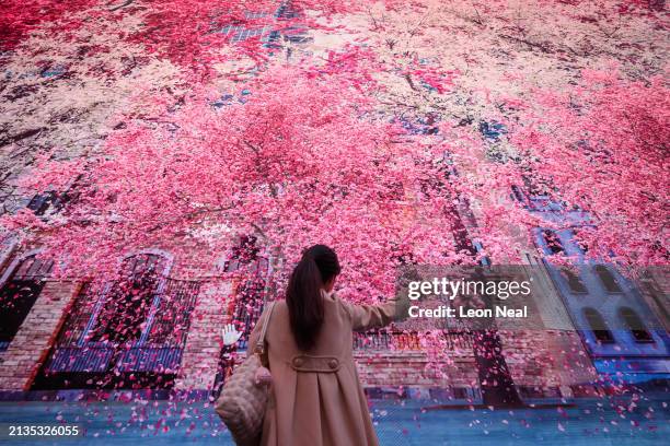 Woman swipes her hand through the air to manipulate the falling digital blossom during the premiere showing of "Nature's Confetti" at Outernet London...