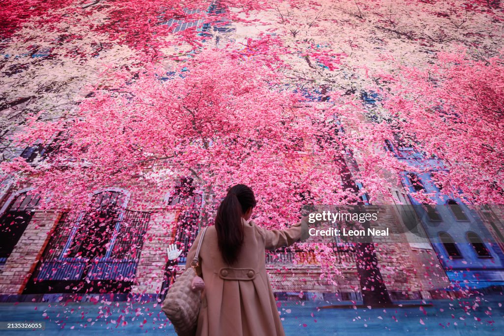 Nature's Confetti Digital Exhibition Launches At Outernet