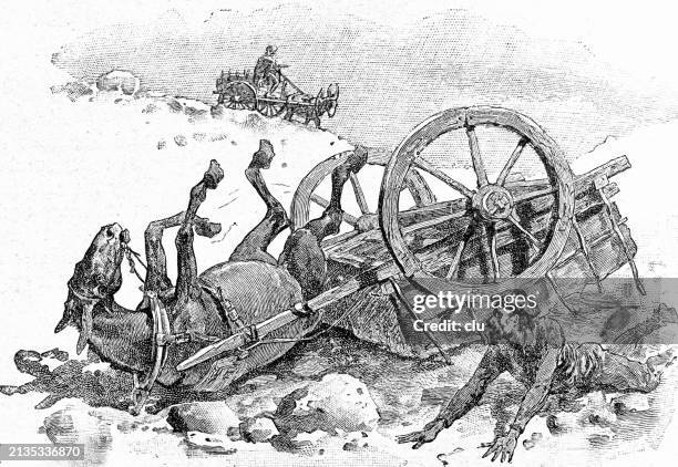 in the wild west, dangerous streets - animal lying on back stock illustrations