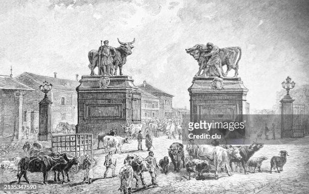 vienna cattle market - 1891 stock illustrations