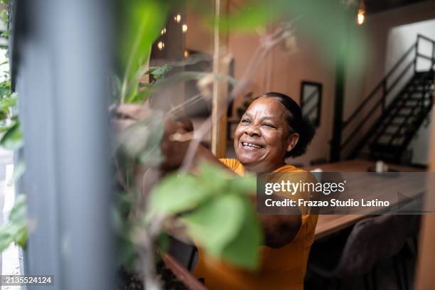 ältere frau kümmert sich um pflanzen zu hause - dominikanischer abstammung stock-fotos und bilder