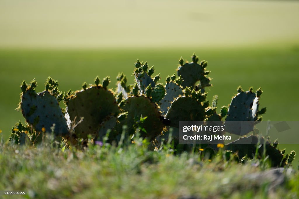 Valero Texas Open - Previews