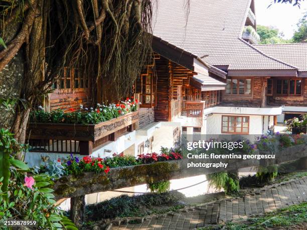 doi tung royal villa, a fusion of local lanna and swiss-style chalet architecture, mae fah luang, chiang rai, thailand - chiang rai province stock pictures, royalty-free photos & images