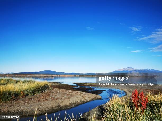 scenic view of lake against blue sky - francisco gamboa stock pictures, royalty-free photos & images